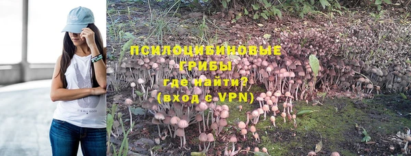ГАЛЛЮЦИНОГЕННЫЕ ГРИБЫ Аркадак