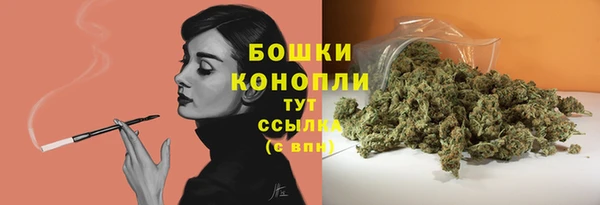 крисы Арсеньев