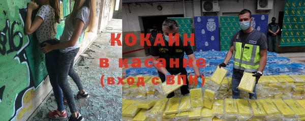 ГАЛЛЮЦИНОГЕННЫЕ ГРИБЫ Аркадак
