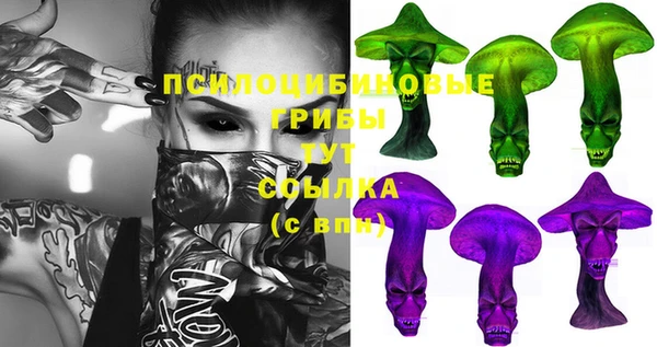 ГАЛЛЮЦИНОГЕННЫЕ ГРИБЫ Аркадак