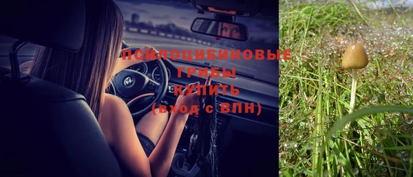 ГАЛЛЮЦИНОГЕННЫЕ ГРИБЫ Аркадак