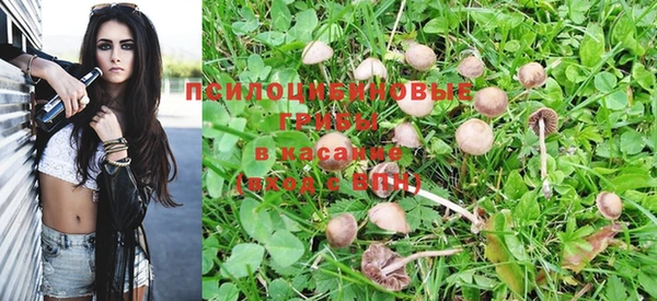 крисы Арсеньев