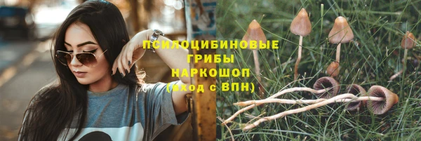 крисы Арсеньев
