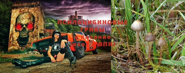 крисы Арсеньев
